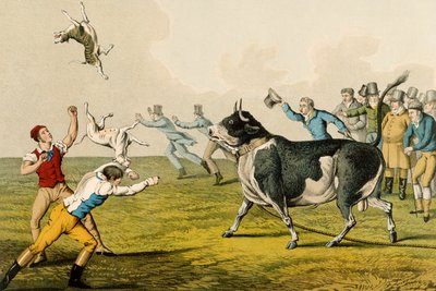 "بول بيتنغ" ، حانة. بقلم توماس ماكلين ، 1820 ، (طباعة) بواسطة هنري توماس الكين