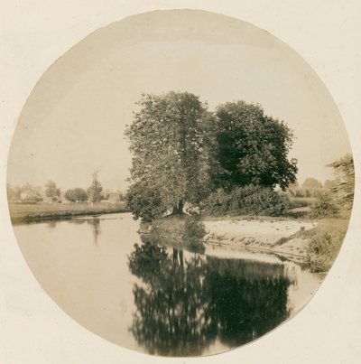 بدون عنوان [نهر التايمز بالقرب من ويبريدج] ، ج. 1856. بواسطة هنري وايت