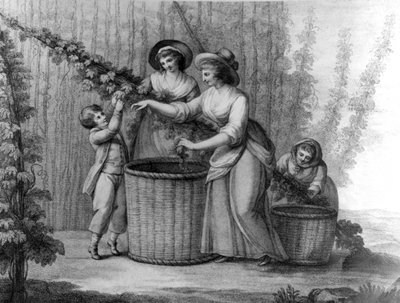 هوب بيكرز ، نقشها ويليام ديكنسون ، 1803 بواسطة هنري ويليام بنبري