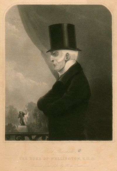 دوق ولينغتون بواسطة هنري دي دوبرافا