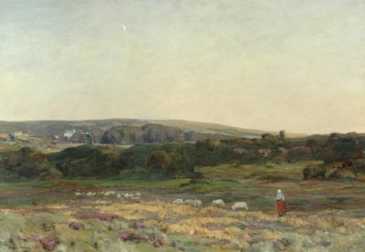 مساء الشفق ، Studland ، دورست ، 1904 بواسطة هربرت هيوز ستانتون