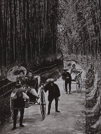 A Bamboo Avenue في كيوتو (صورة بالأبيض والأسود) بواسطة هربرت بونتينج