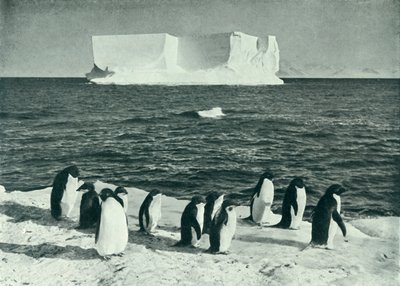 A Berg Drifting in McMurdo Sound، c19101913، 1913. بواسطة هربرت بونتينج