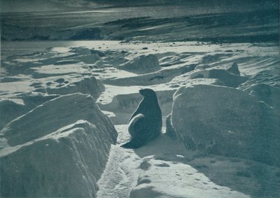 خاتم ويديل على الشاطئ ، c1911 ، 1913 بواسطة هربرت بونتينج