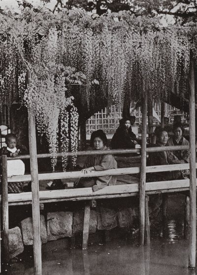 A Wistaria Arbor في Kameido (صورة b / w) بواسطة هربرت بونتينج
