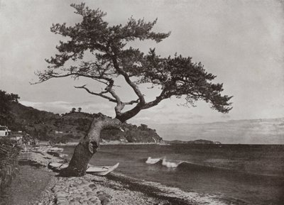 أتامي (b / w photo) بواسطة هربرت بونتينج