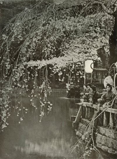 توقيت أزهار الكرز في اليابان ، 1910. بواسطة هربرت بونتينج