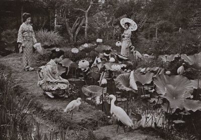 In a Lotus Garden (b/w photo) بواسطة هربرت بونتينج
