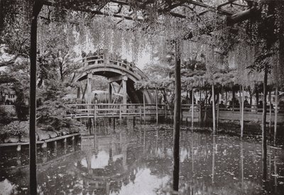 Kameido (b / w photo) بواسطة هربرت بونتينج