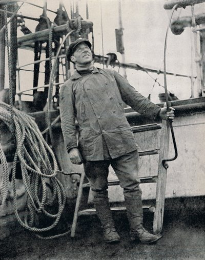 الكذب. بروس ، 1911 ، 1913 بواسطة هربرت بونتينج