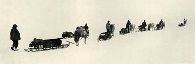 المهور في مارس 1911 ، 1913 بواسطة هربرت بونتينج