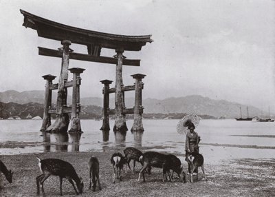 The Old Torii at Miyajima (صورة b / w) بواسطة هربرت بونتينج