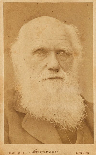 صورة تشارلز داروين 1809-1882 ، 1881. بواسطة هربرت روز بارود