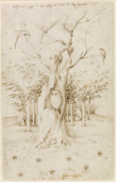 الخشب له آذان ، الحقل له عيون مقابل بوش ، هيرونيموس (سي 1450-1516). قلم ، حبر هندي بني على ورق ، مقاس: 20،2x12،7 ، ج. 1500-1515 ، Staatliche Museen ، برلين بواسطة هيرونيموس بوش