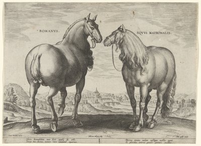 حصان من روما وفرس بديل Romanvs Eqvvs Matronalis (العنوان على الكائن) سلالات الخيول من الاسطبلات الملكية في النمسا دون جوان (عنوان السلسلة) Equile Ioannis Austriaci Caroli (عنوان المسلسل) بواسطة فيليبس جالي