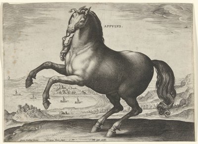 حصان من جنوب إيطاليا (أبولوس) Appvvs (العنوان على الكائن) سلالات الخيول من الاسطبلات الملكية لنمسا دون جوان (عنوان السلسلة) Equile Ioannis Austriaci Caroli (عنوان المسلسل) بواسطة جان فان دير سترايت