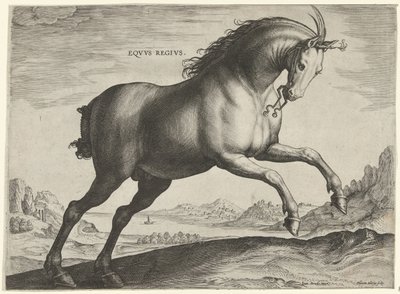 سلالة حصان Equus Regius (الملكية) Eqvvs Regivs (العنوان على الكائن) سلالات الخيول من الاسطبلات الملكية في النمسا دون جوان (عنوان السلسلة) Equile Ioannis Austriaci Caroli (عنوان المسلسل) بواسطة جان فان دير سترايت
