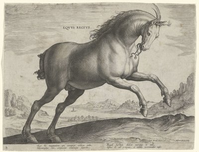 سلالة حصان Equus Regius (الملكية) Eqvvs Regivs (العنوان على الكائن) سلالات الخيول من الاسطبلات الملكية في النمسا دون جوان (عنوان السلسلة) Equile Ioannis Austriaci Caroli (عنوان المسلسل) بواسطة فيليبس جالي