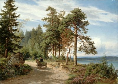 الطريق في فنلندا بواسطة Hjalmar Munsterhjelm