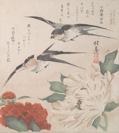 مجموعة مطر الربيع Harusame shu، vol. 3: السنونو والفاوانيا ، كاليفورنيا. 1820. ، كاليفورنيا. 1820. بواسطة هوكوبا
