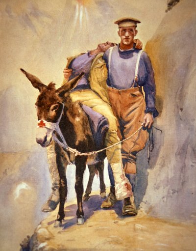John Simpson Kirkpatrick of the 3rd Australian Field Ambulance who with his donkey rescued wounded soldiers at Gallipoli in 1915 بواسطة هوراس مور جونز