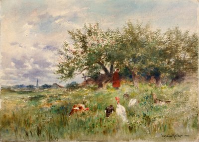 مراقبة الديوك الرومية بواسطة هوراشيو ووكر