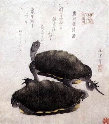 Shinobazu Pond ، من سلسلة 'Contest of Famous Products of Edo' ، حوالي 1811-1812 (طباعة خشبية) بواسطة Hotei Gosei