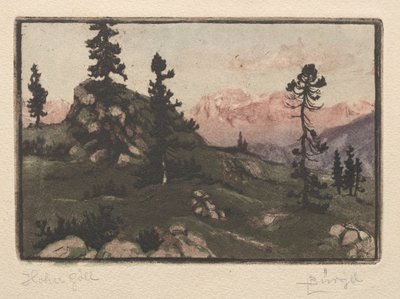 نورس عالي بواسطة Hugo Burghel