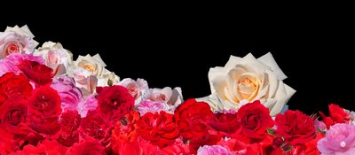 روز دريم 2 بواسطة هوغو نيفي