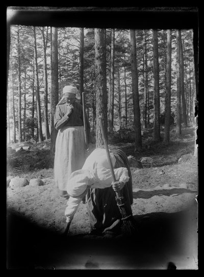 نماذج من لوحة جدات المكنسة في نيمنلوتا بواسطة هوغو سيمبرج