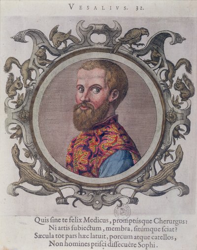 صورة لأندرياس فيزاليوس (1514-64) من استلام بورتريه دو ميديسين من قبل الطبيب المجري ، Sambucus ، 1574 بواسطة المدرسة المجرية