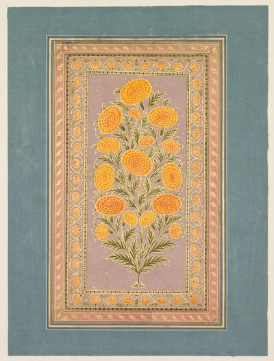 أزهار القطيفة ، ج. 1765. بواسطة هنهار الثاني