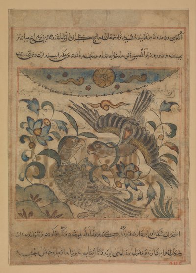 زوج من النسور ، فوليو من منافع الحيوان في نفع الحيوان ... ، كاليفورنيا. 1300. بواسطة ابن بختيشو