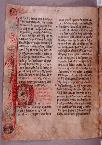 الحرف الأول التاريخي "P" في بداية القسم الخاص باللصوص ، من "Skarosbok" ("The Book of Skard") حوالي عام 1350 (ورق رق) بواسطة المدرسة الآيسلندية