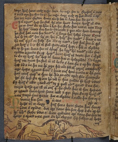 مكافحة الخيول ، من Heynesbok (كتاب هينز) ، النصف الأول من القرن السادس عشر بواسطة المدرسة الآيسلندية