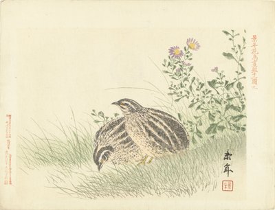 اثنين من السمان اسكتشات الزهور والطيور لكينين (عنوان المسلسل) Keinen Kacho Gafu (عنوان المسلسل على الكائن) بواسطة أوكي كوسابورو