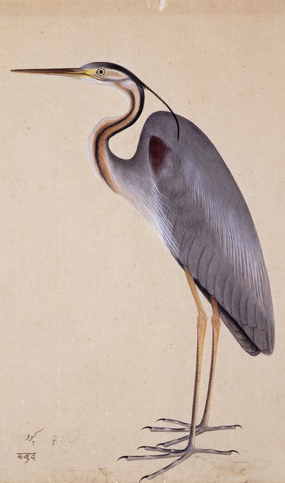 مالك الحزين ، ج. 1820 بواسطة المدرسة الهندية