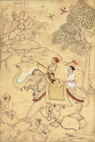 أمير الصيد ، مثبت على فيل ، c.1600-1650 بواسطة المدرسة الهندية