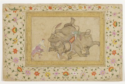 قتال الفيل ، مع حدود نبات الأرابيسك ، c.1610 (مرحاض غير شفاف وذهب على ورق) بواسطة المدرسة الهندية