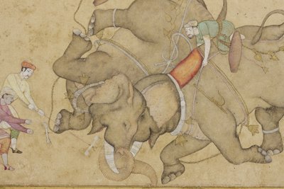 تفاصيل عن قتال الفيل ، مع حدود نبات الأرابيسك المزخرف ، c.1610 (مرحاض غير شفاف وذهب على ورق) بواسطة المدرسة الهندية