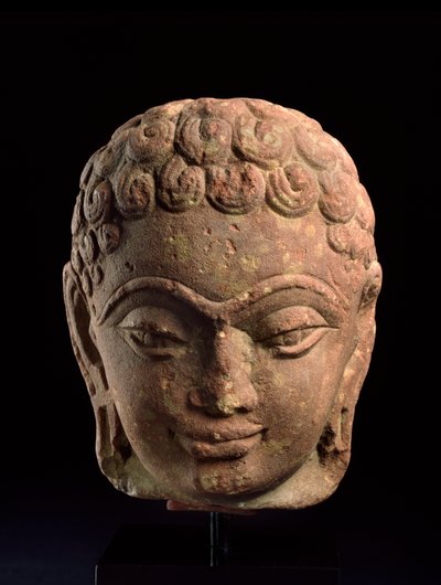 رأس Jain Tirthankara ، منطقة Mathura ، فترة Kushan ، القرنان الثالث والرابع الميلادي (الحجر الرملي) بواسطة المدرسة الهندية