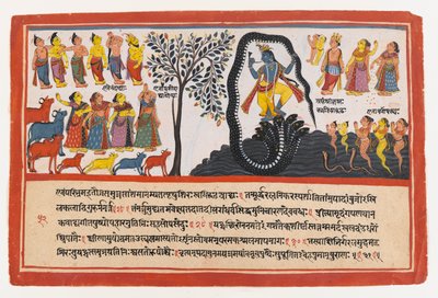 كريشنا ينتصر على الثعبان كاليا ، صفحة من سلسلة Bhagavata Purana المتفرقة ، c.1775 (مرحاض غير شفاف وذهب على ورق) بواسطة المدرسة الهندية