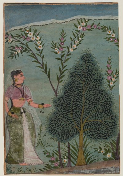 سيدة في البرية ، جزء من صفحة من سلسلة Bhagavata Purana ، c.1590-1600 (مرحاض وذهب على ورق) بواسطة المدرسة الهندية