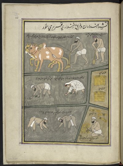 حراثة حفر؛ زرع الأرز حصاد،  86 رسماً مجلداً في مجلد يصور الحرف والمهن في كشمير ، يظهر الحرفيون في العمل بأدواتهم ومعداتهم ،  بواسطة فنان من كشمير ، ربما في سريناغار ، حوالي 1850-60 (gou بواسطة المدرسة الهندية