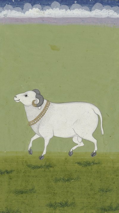 رام مع طوق ذهبي ، 1700-1799 بواسطة المدرسة الهندية
