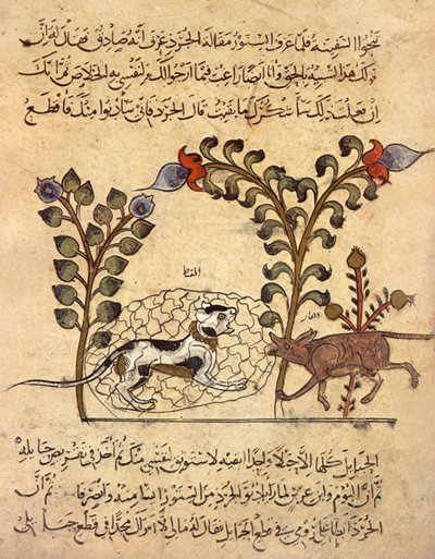  بواسطة المدرسة الهندية