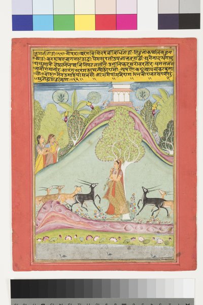 تودي راجيني ، c.1700 (مرحاض غير شفاف وذهب على ورق) بواسطة المدرسة الهندية