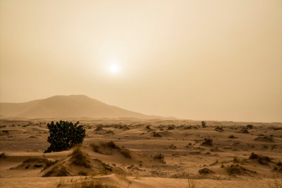 الكثبان الرملية في صحراء عرق الشبي جنوب شرق المغرب، 2014 (صورة) بواسطة ايرا بلوك