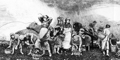 حصاد البطاطس ، 1870s بواسطة المدرسة الايرلندية