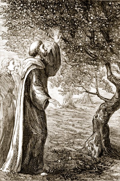 يقوم القديس كولومبا بتغيير الفاكهة المريرة إلى حلوى ، من The Trias Thaumaturga ، أو ثلاثة قديسين عجائب في أيرلندا ، بقلم ماري كوساك (1829-1899) المنشورة في 1890s بواسطة المدرسة الايرلندية